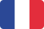 France flag